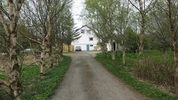 Airbnb And Booking At Postvegen 95 Vigra Экстерьер фото